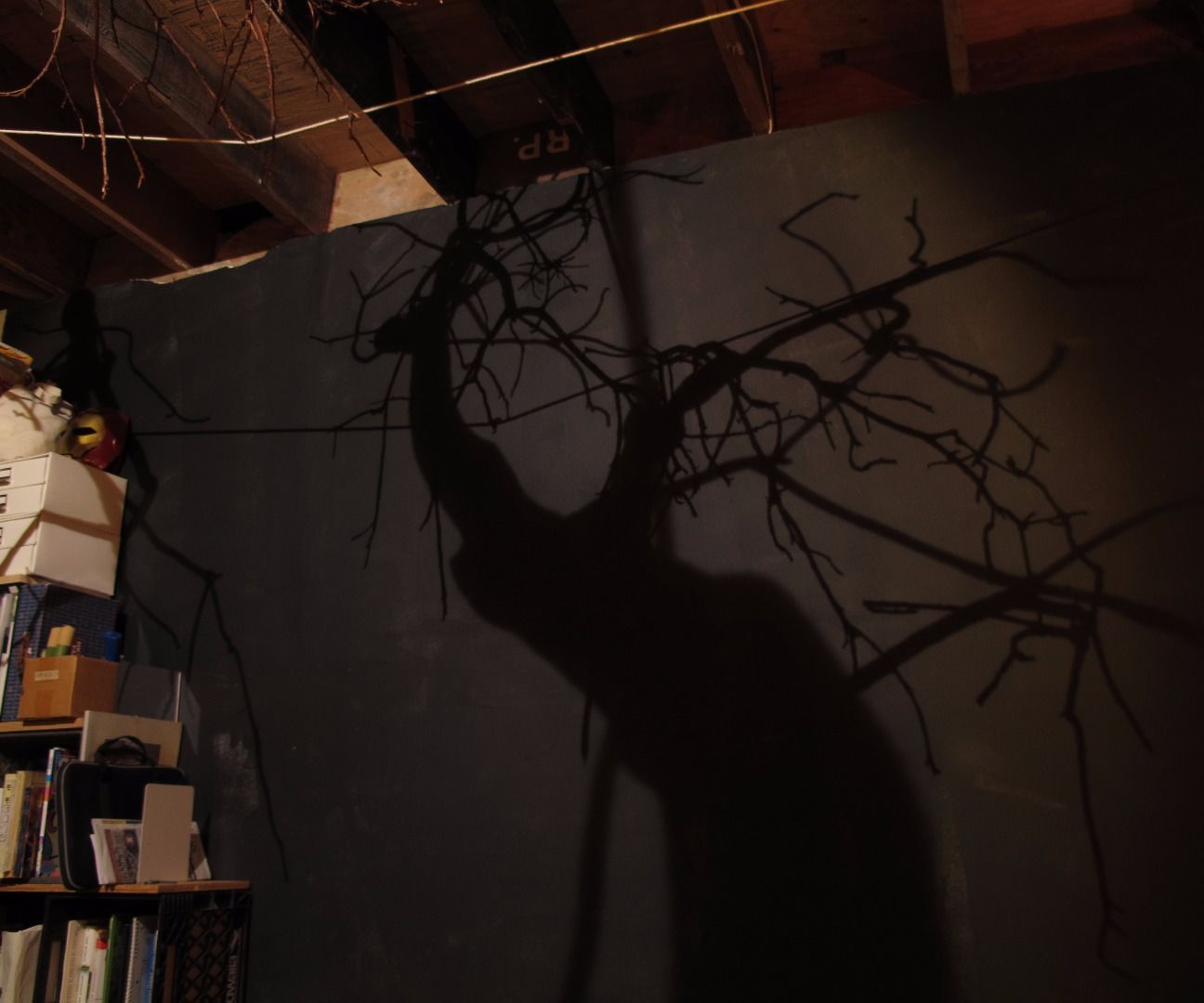Tree Shadow Light:Night Forest in Your Bedroom