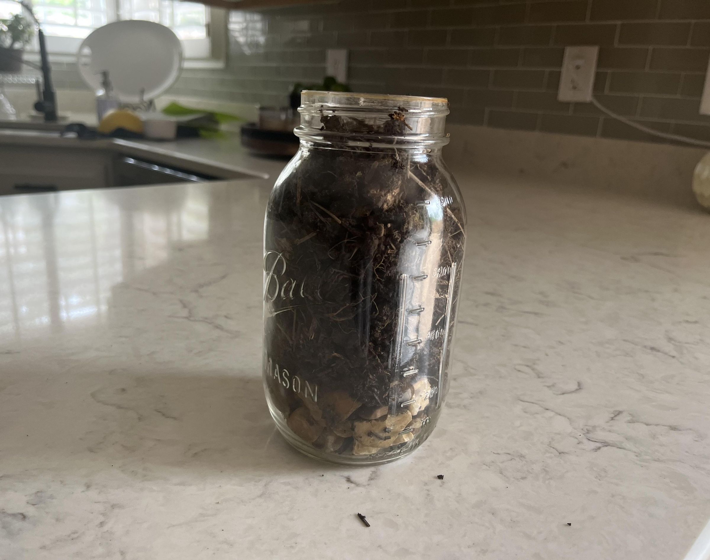 Mason Jar Into a Flower Pot