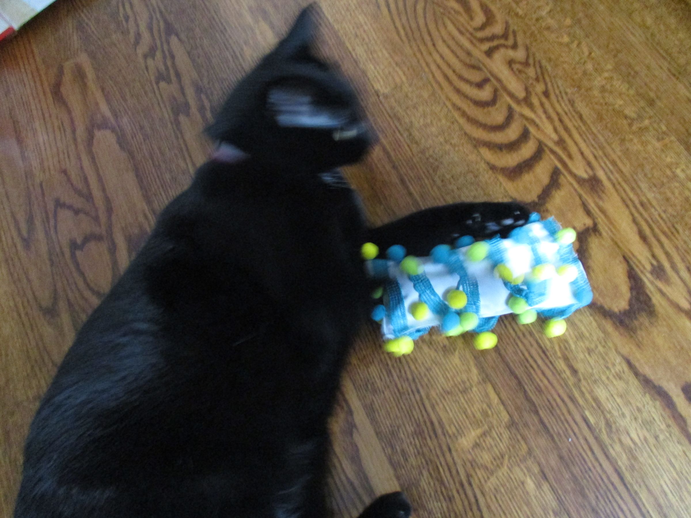 Double Awesome Cat Toy! 5 Steps (with Pictures) Instructables