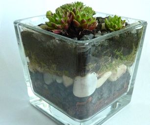 How to Make a Tiny Glass Garden