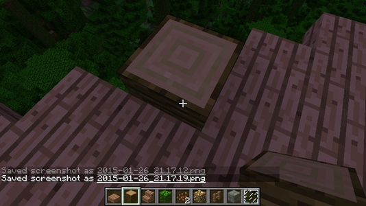 Build the Basic Structure