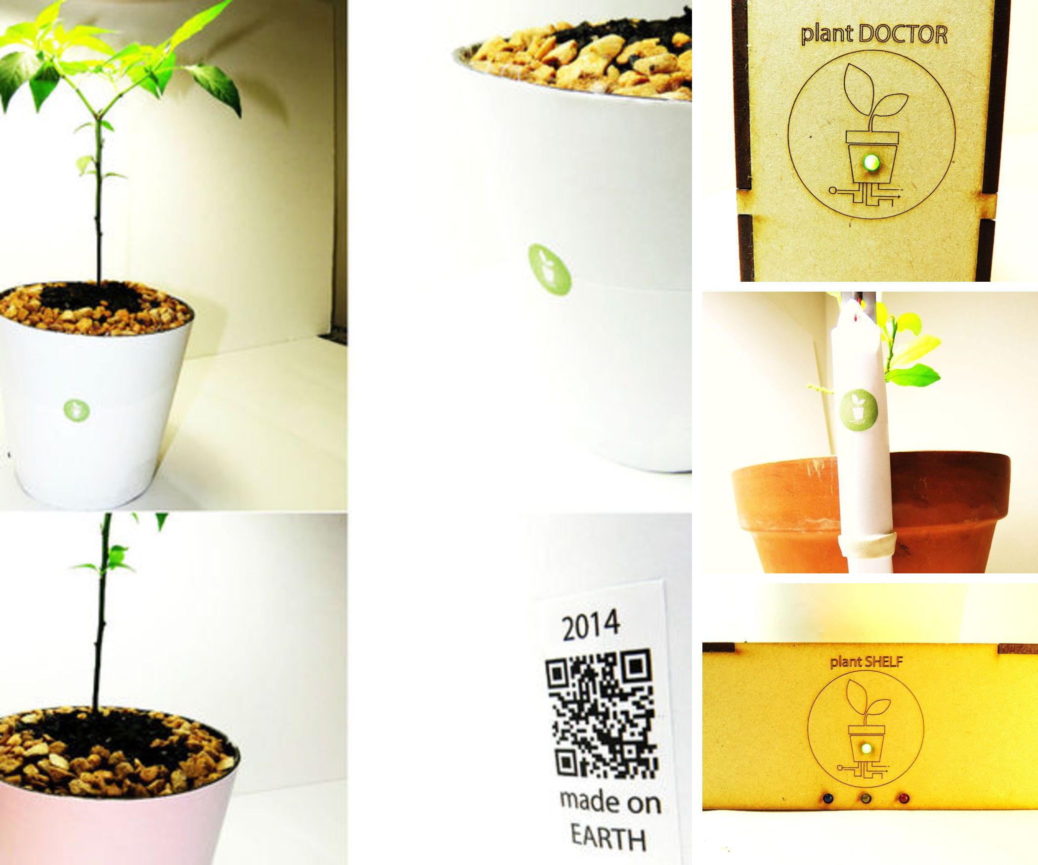 The Plant Doctor Family