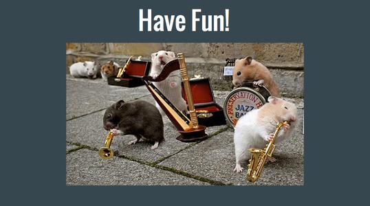 Have Fun!