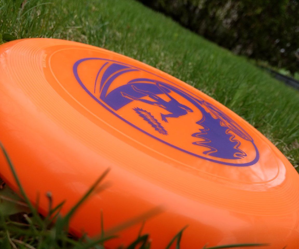 Throw a Frisbee Like a Pro! 5 Steps Instructables