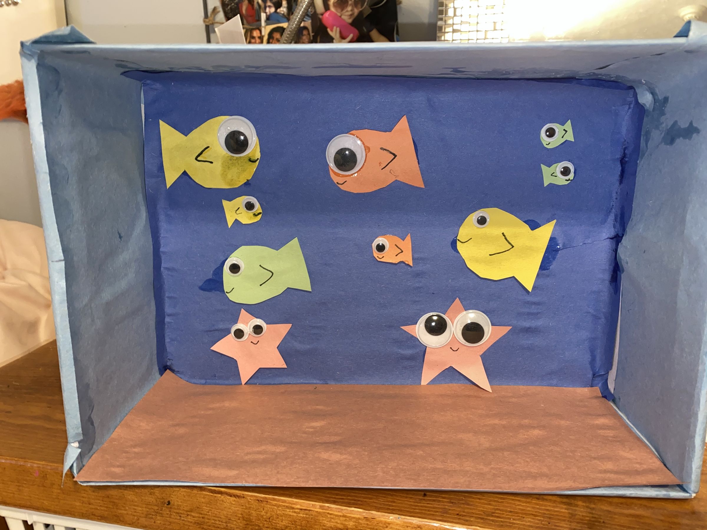 The Shoebox Aquarium 10 Steps Instructables