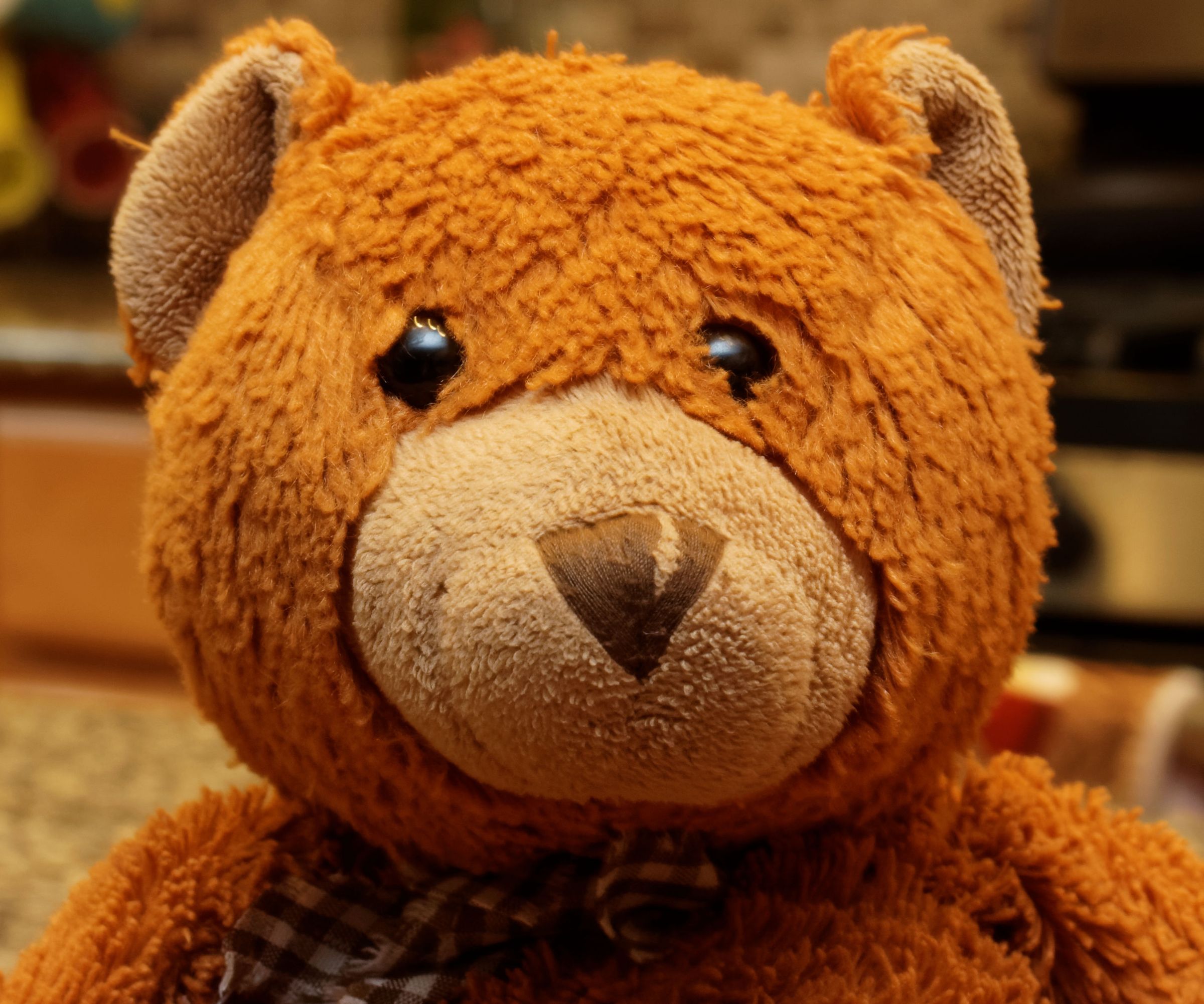 How to Take Portraits With a Canon DSLR