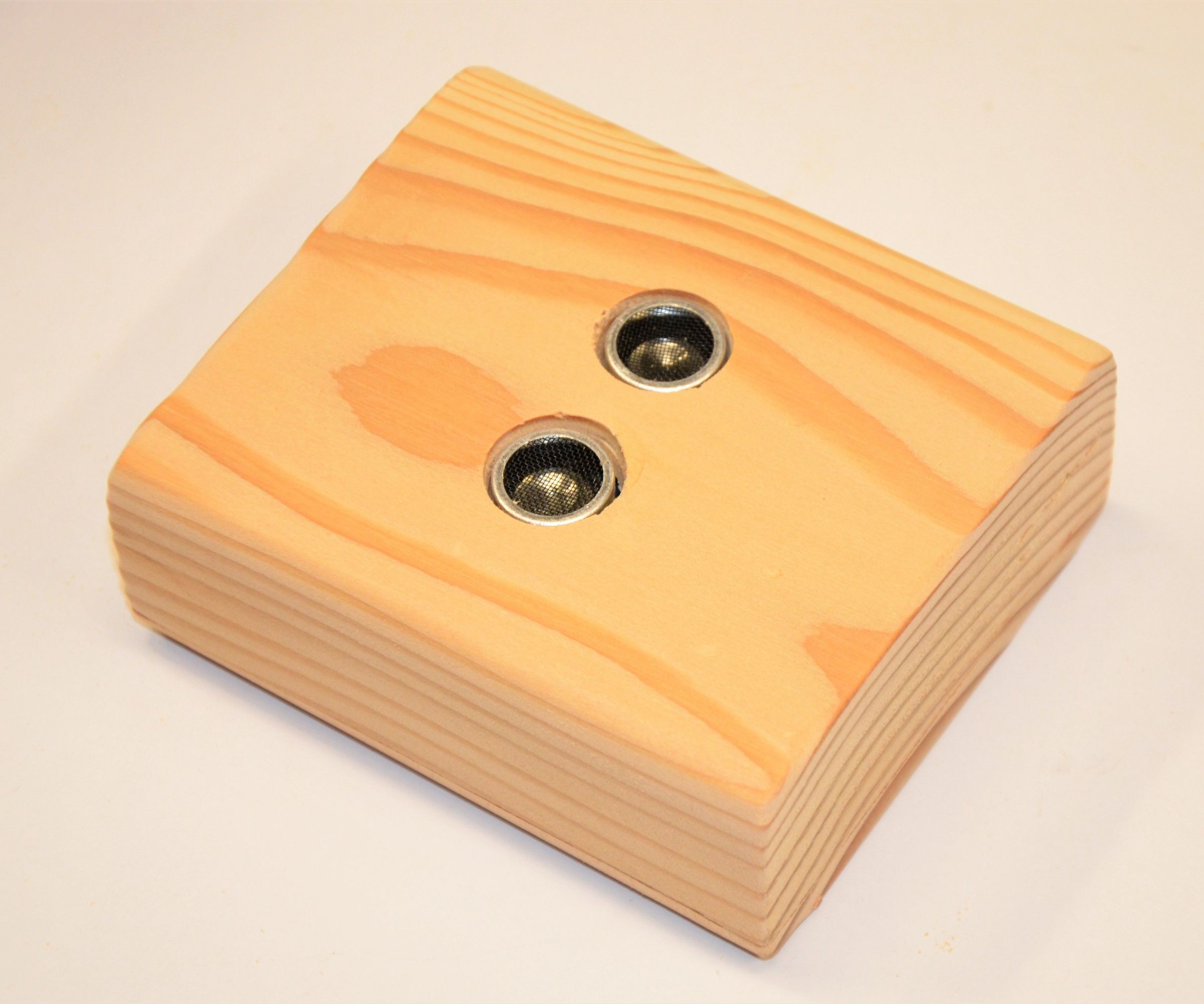 Easy 2x4 Electronics Enclosures
