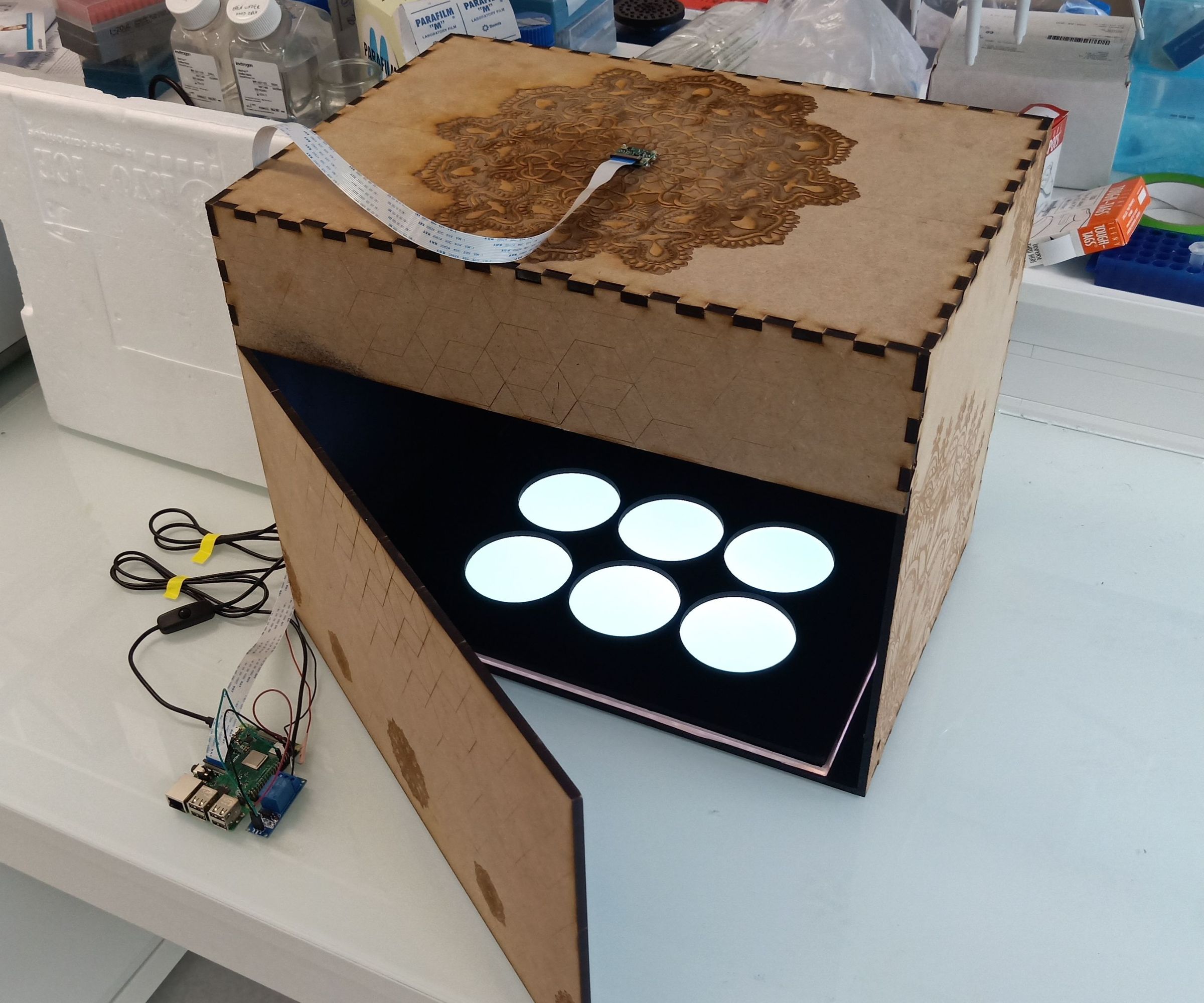 Time-Lapse Box