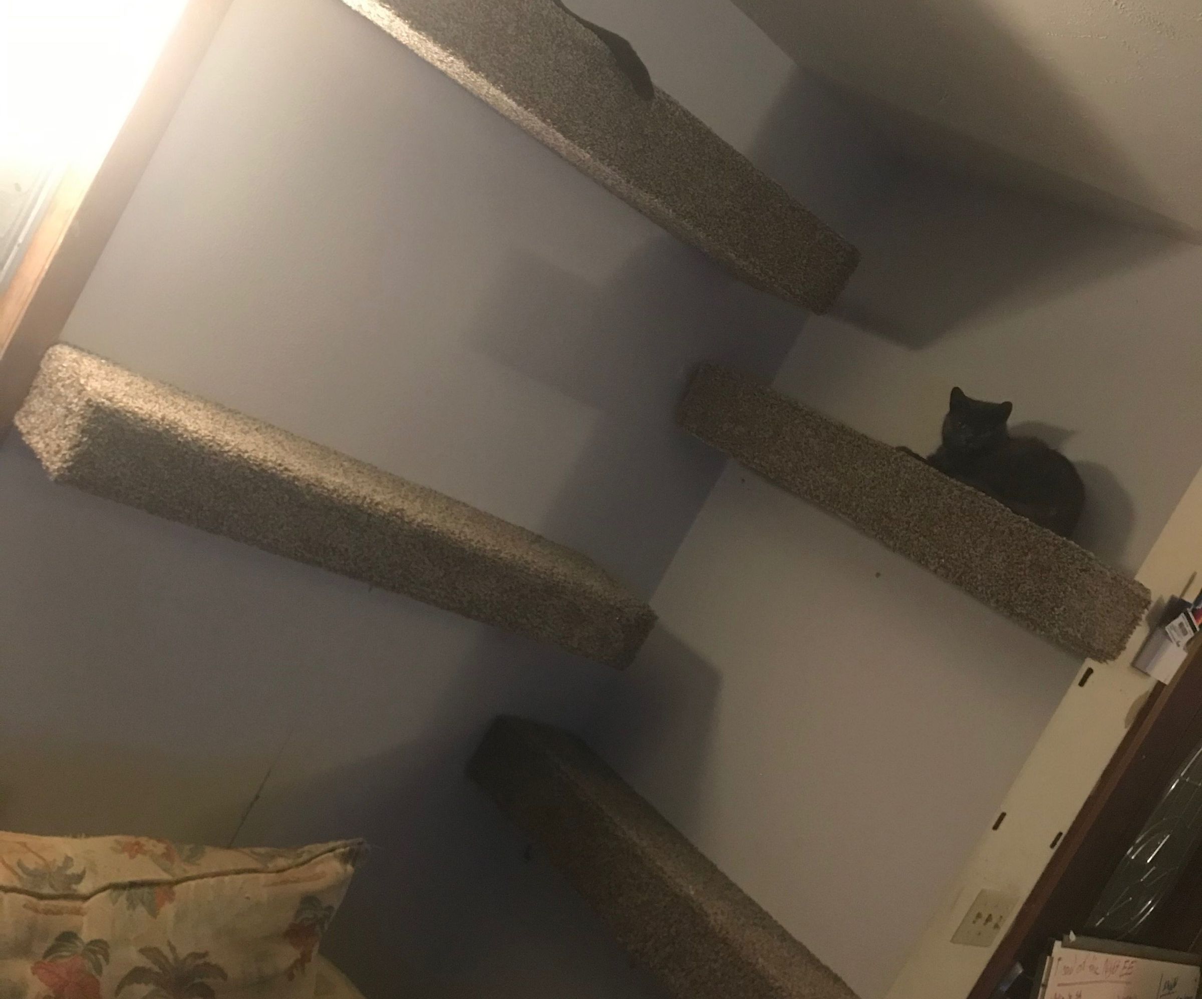 Floating Cat Shelves