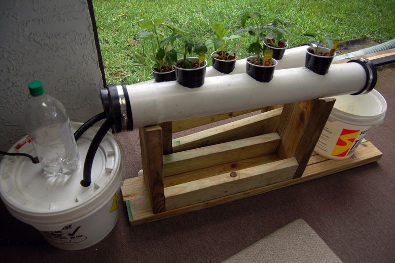 Small NFT Hydroponics System