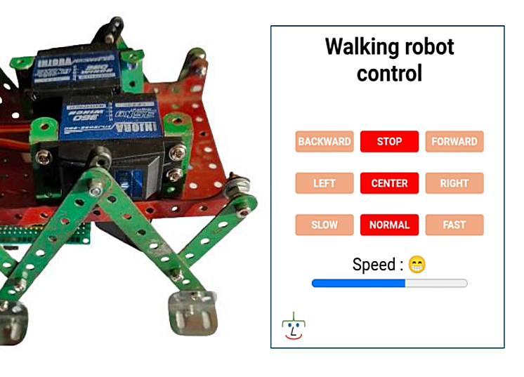 Web Interface-controlled Walking Robot for Beginners