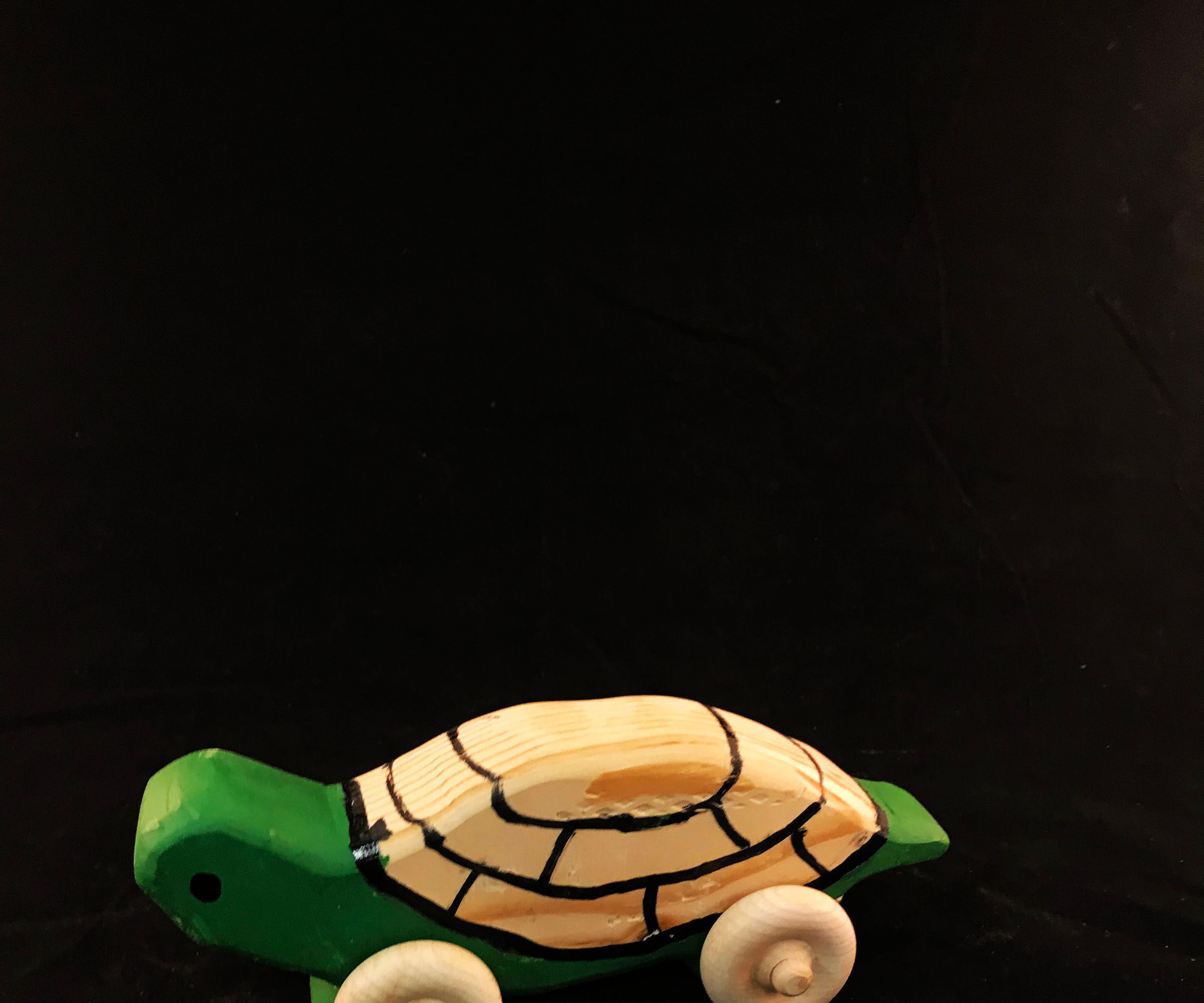 How to Make a Toy Turtle by Skyler