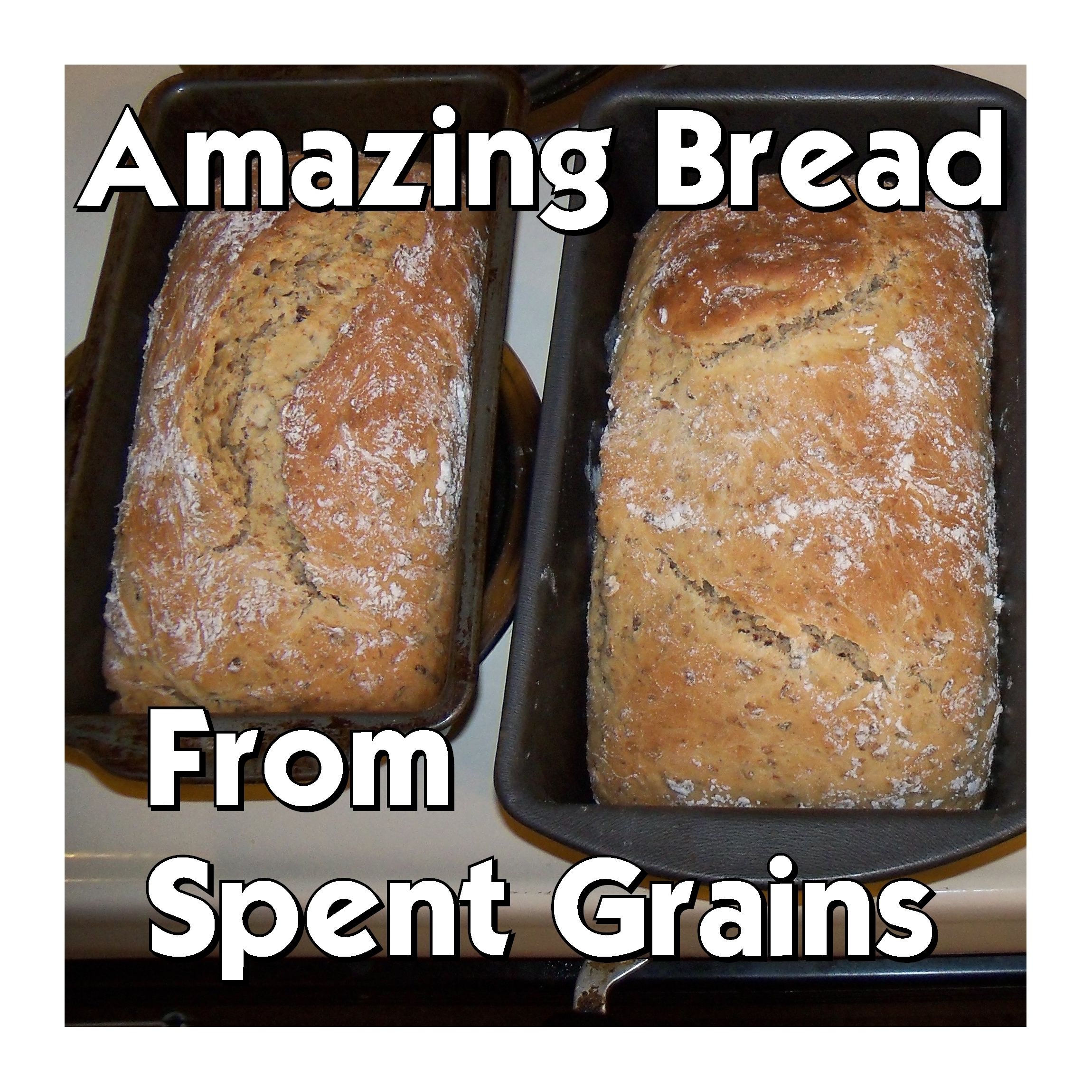 Amazing (and Easy!) Bread From Spent Grains