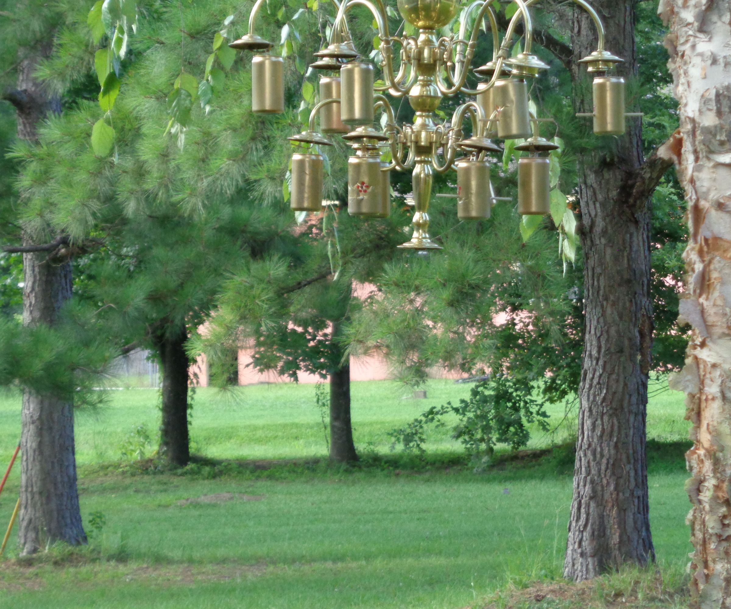 Humming Bird Feeders With Class