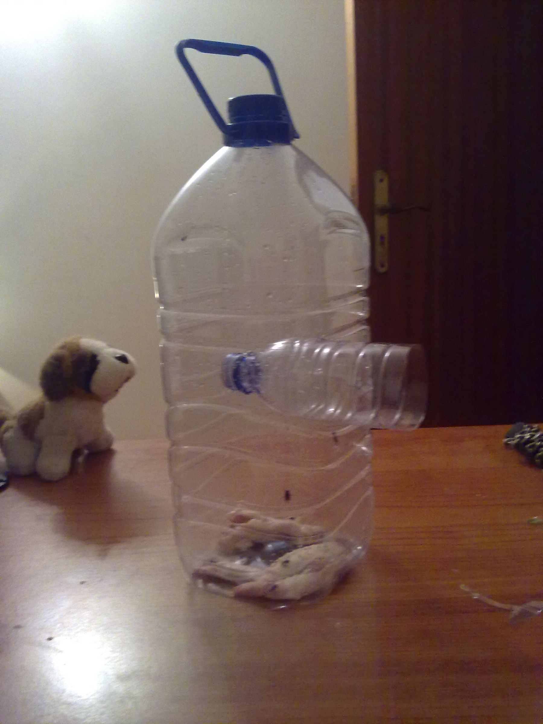 Trap for Flies No Poison