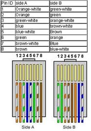 What Components Did I Use?