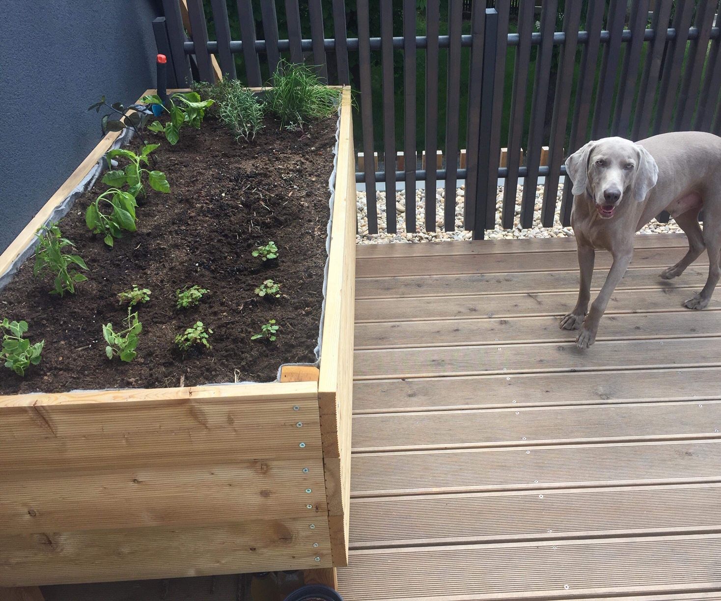 Wooden Terrace Planter