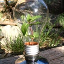 Lightbulb "green"house