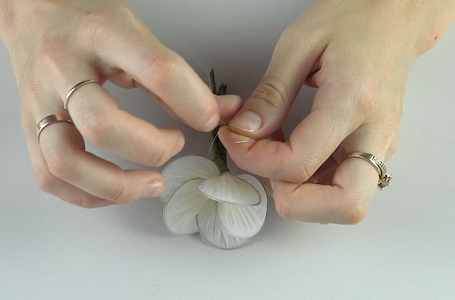 Next, When You Have Your 5 Flower Petals, Attach All 5 Together Using the Thread and Create a Flower.