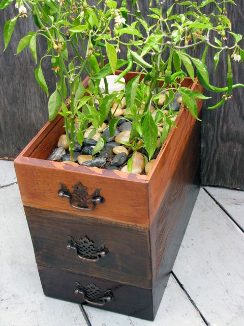 Self-watering Planter From Found Dresser Drawers