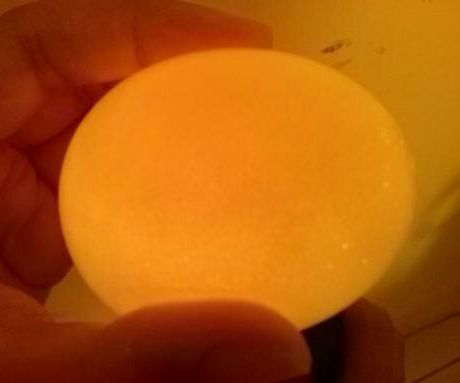 Egg in Vinegar