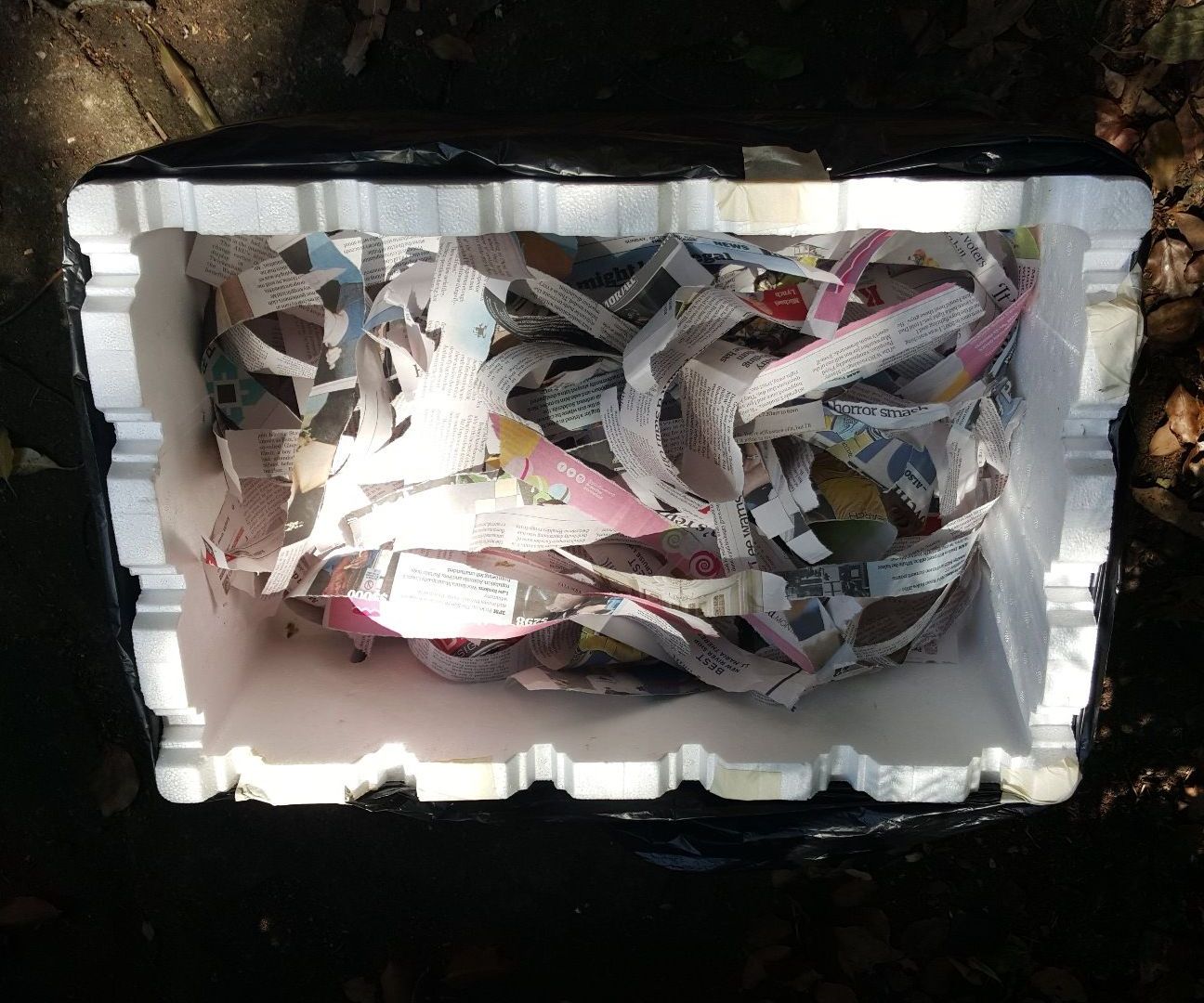 How to Compost With Worms