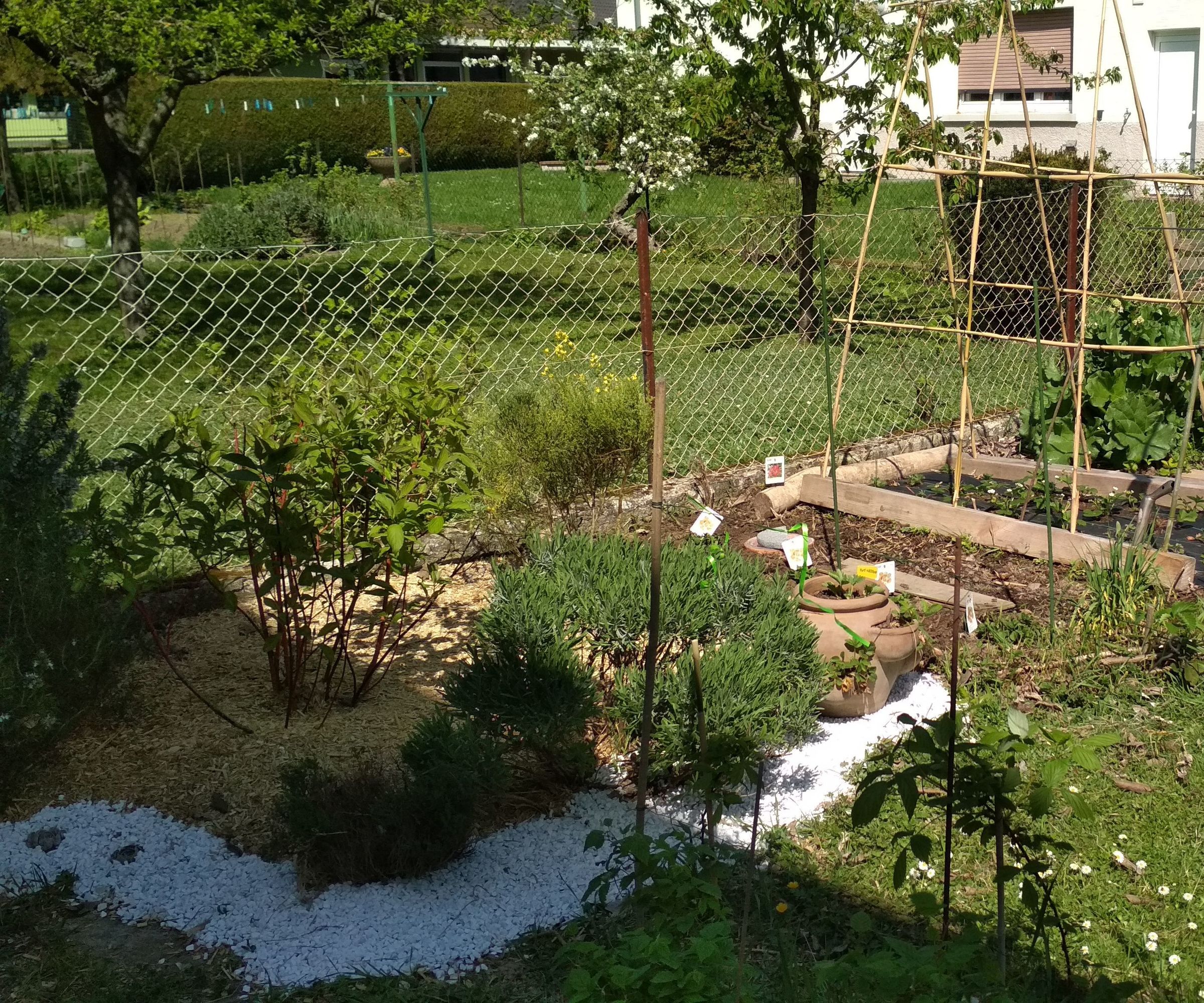 Ollas or Oyas - Ancient Watering System, the Simple Way