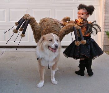 Spider Princess and Her Pet Spiders