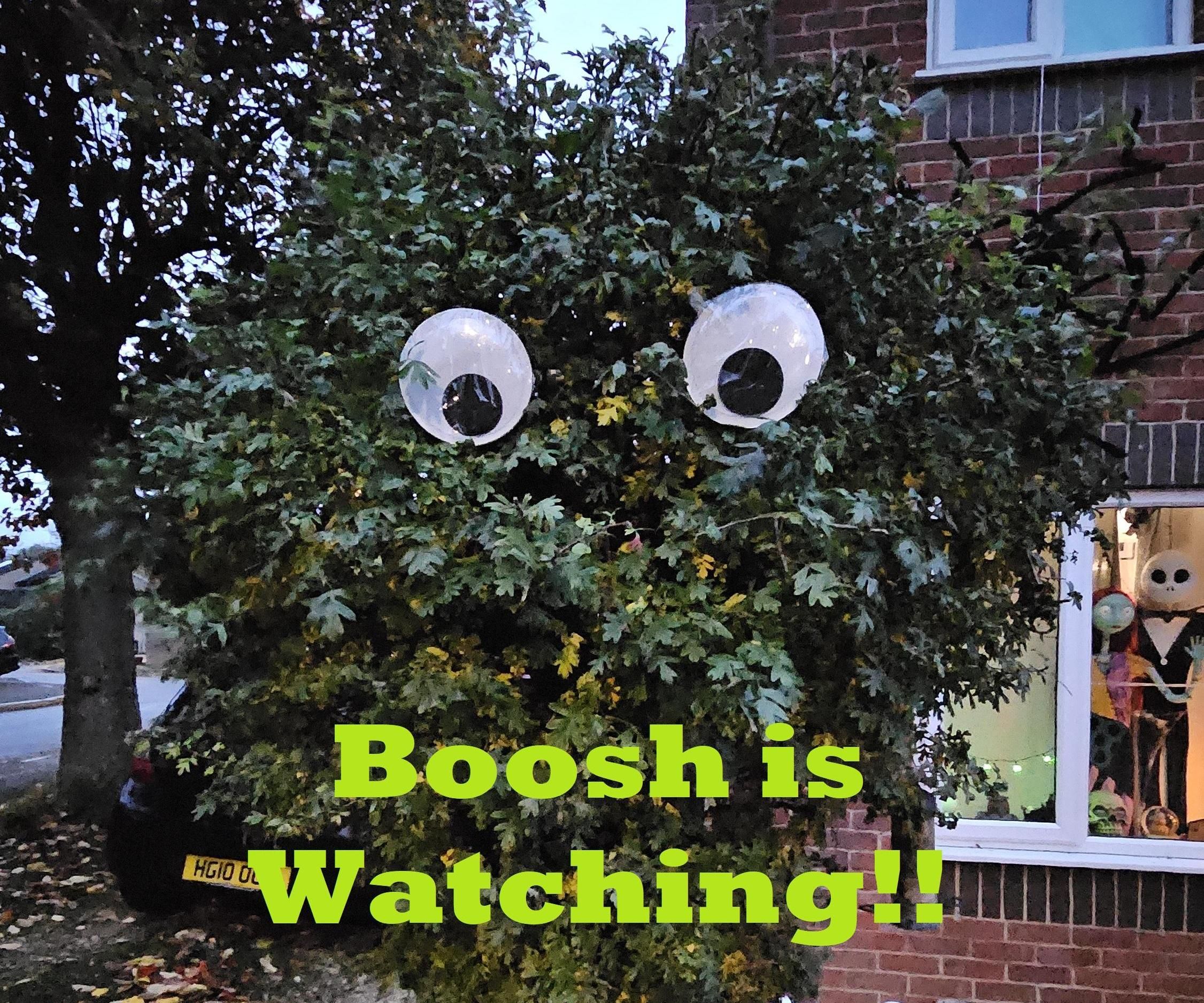 BOOOSH the Bush That Watches You
