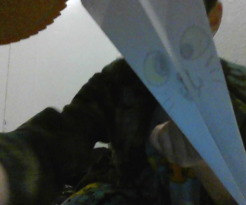 How to Make a Cat Paper Plane