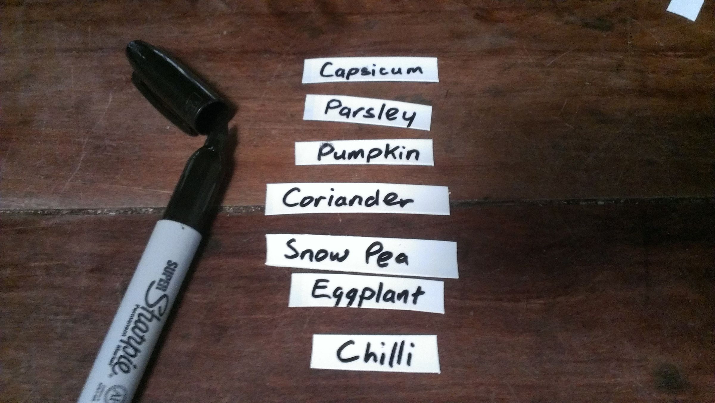 Plant Labels From Disposable Razors : 4 Steps - Instructables