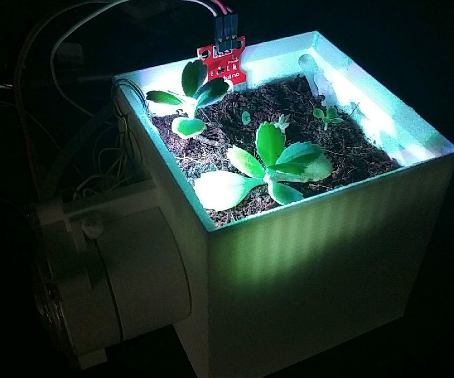 Self Watering Planter
