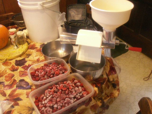 Sugarless Homemade Organic Raspberry Jelly Sweetened With Honey!