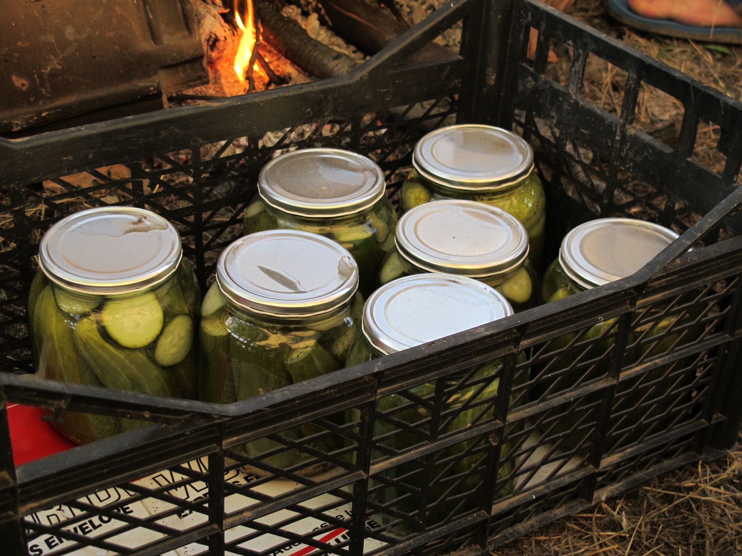 Pickles