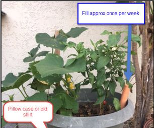 Level 2 Wicking - Wicking Pots