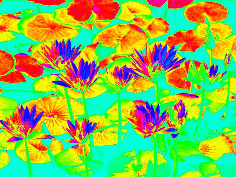 Super Easy Infrared Like Pictures (Photoshop)