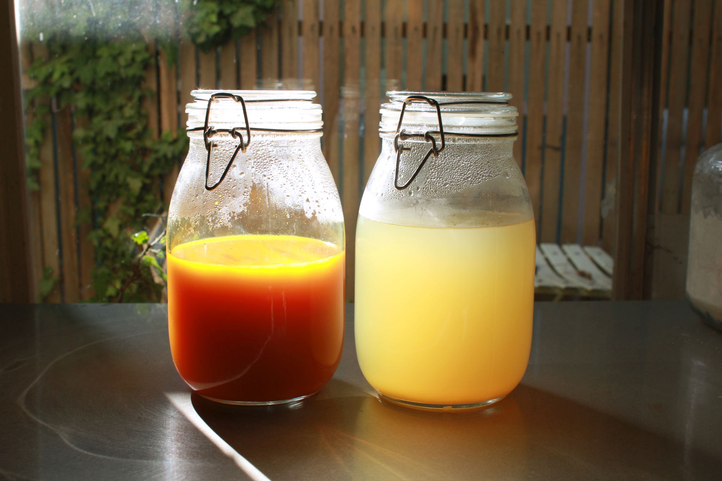 Rhizome Sodas