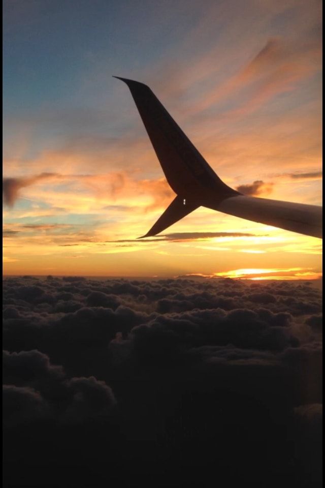 FlyingHazard