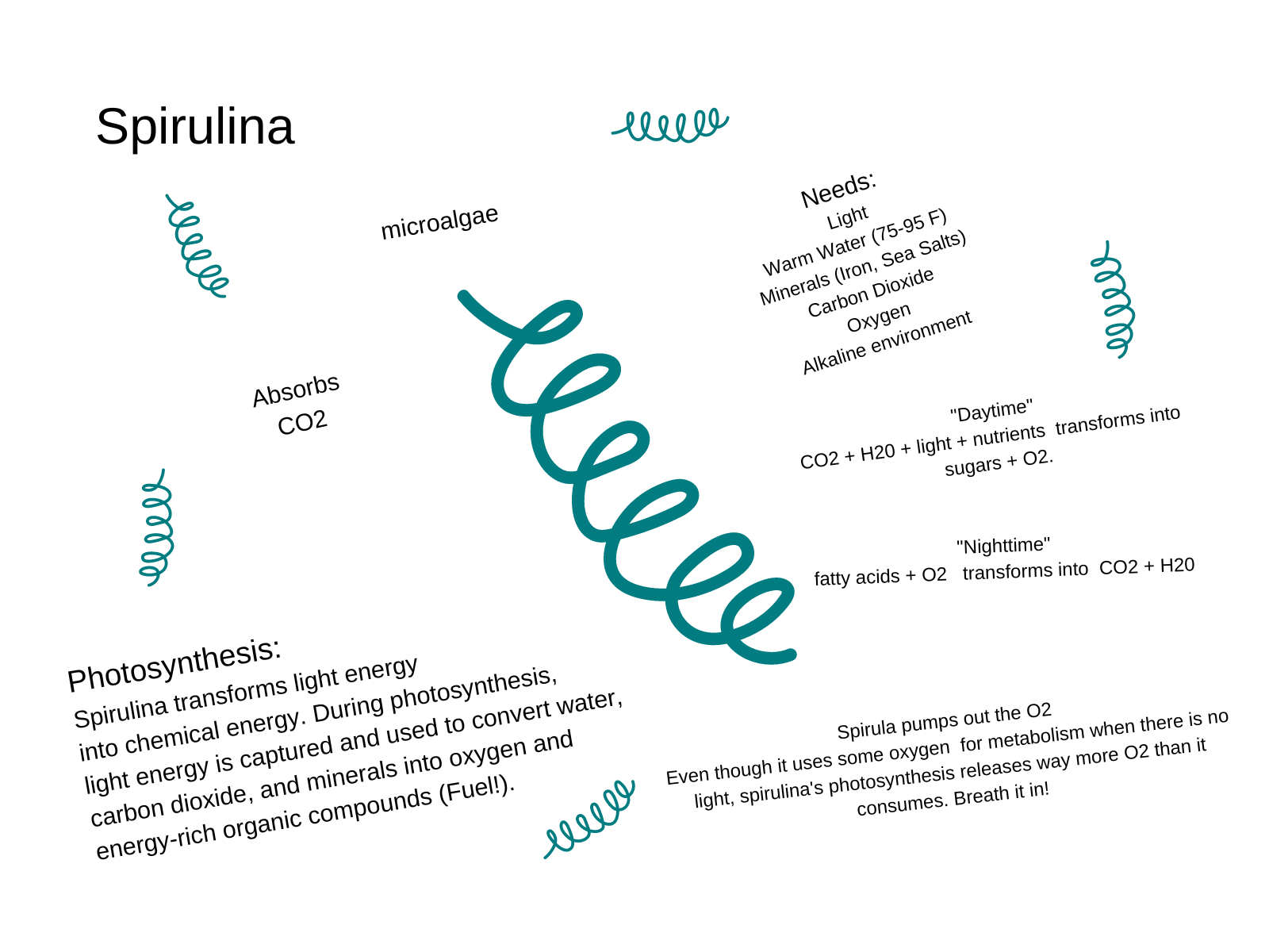 Growing Spirulina in the Classroom 18 Steps (with Pictures) Instructables