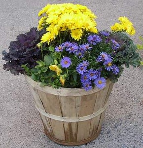 how to make a grow box