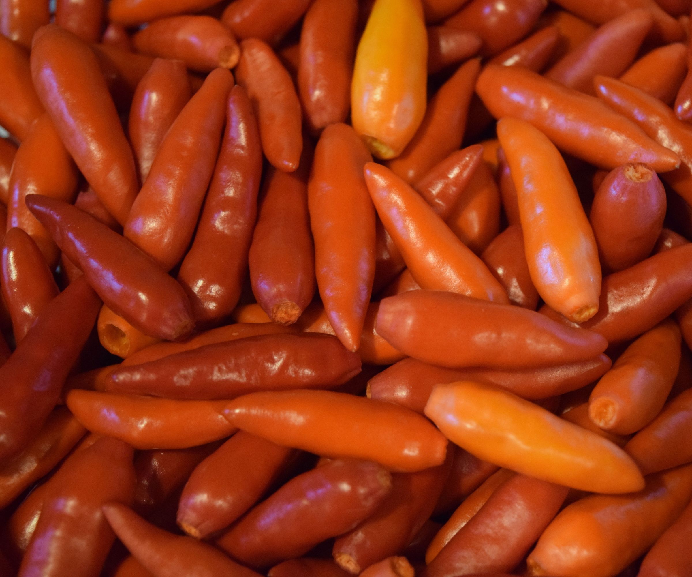 Tabasco Imitation Hot Sauce