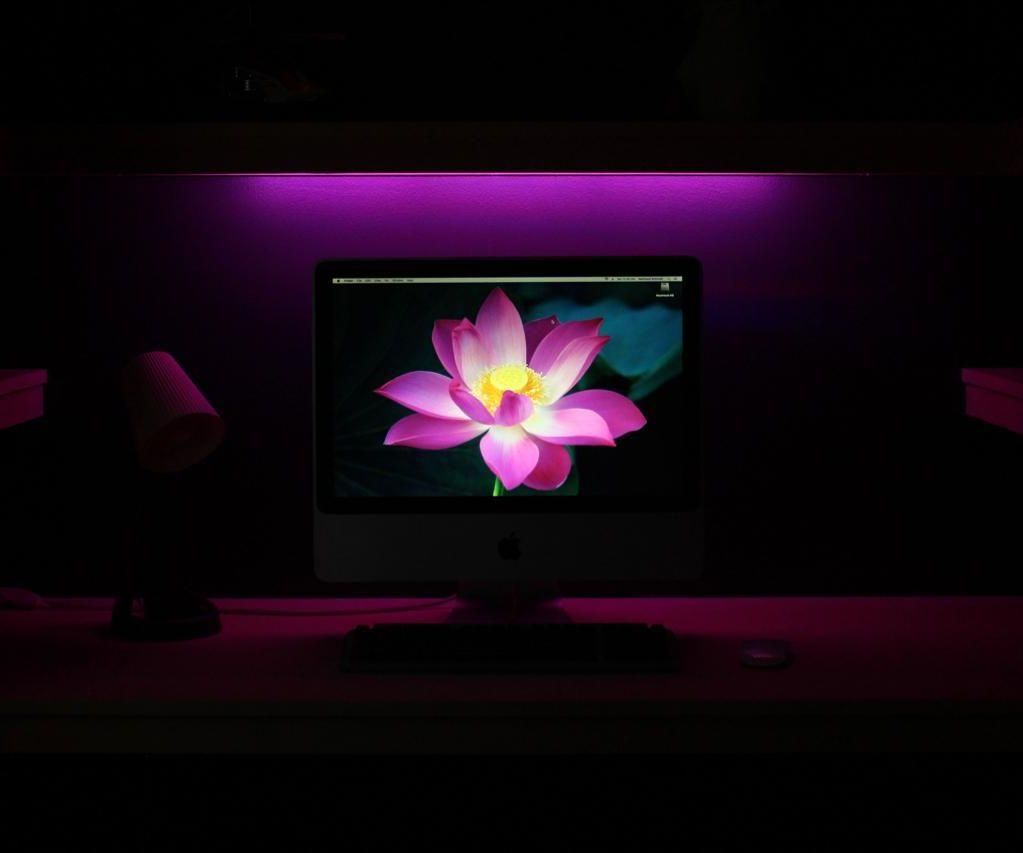 Violet Closet-to-Desk Conversion