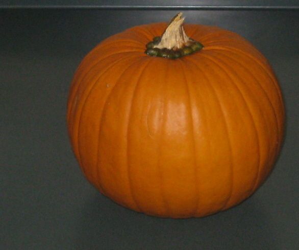 Baking With Pumpkin
