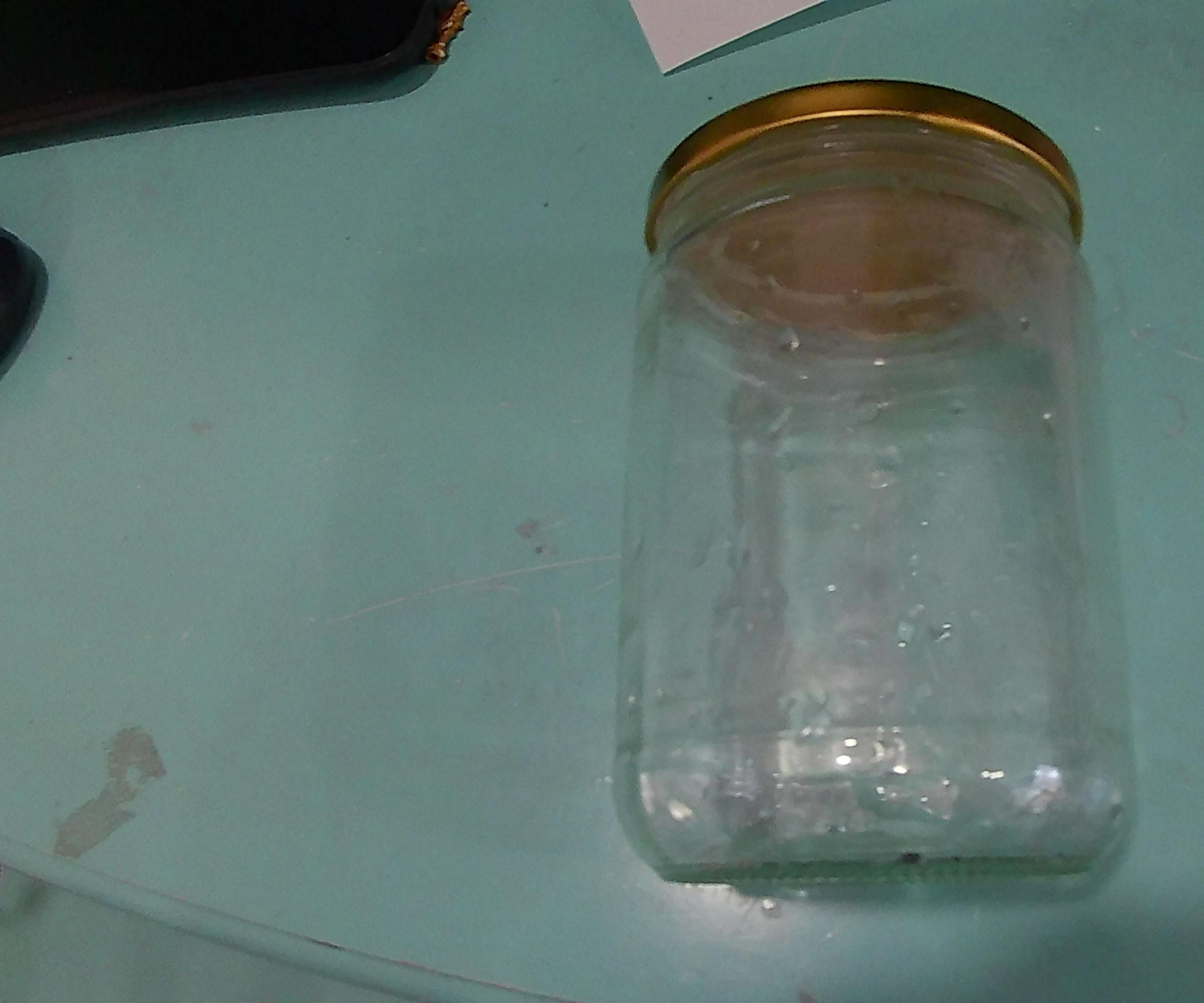 Mason Jar Self Sustaining Terrairuum