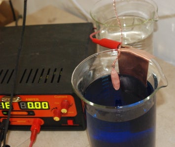 Electroforming an Iris Seed Pod