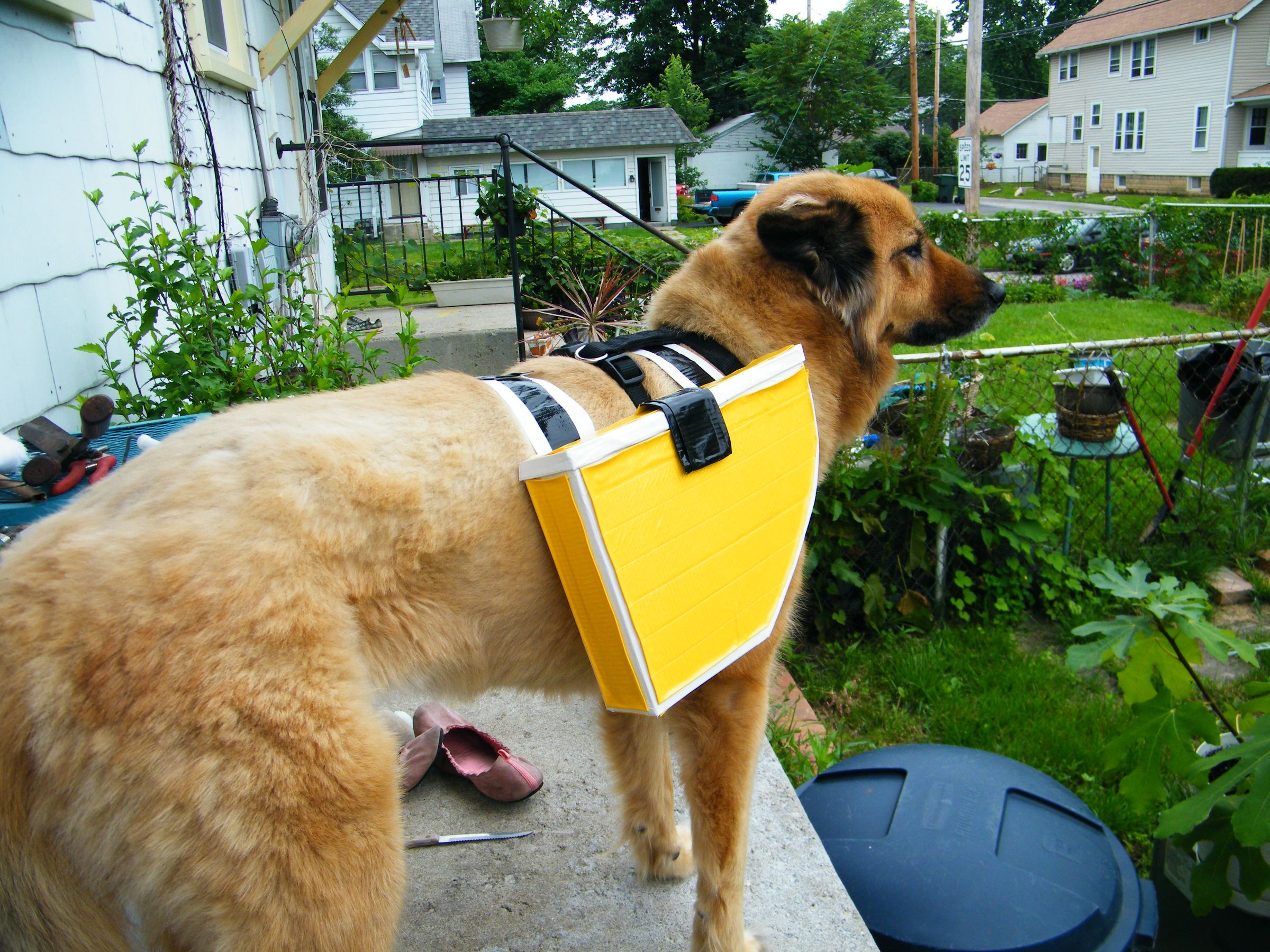 Duct Tape Dog Panniers (with Pictures) Instructables