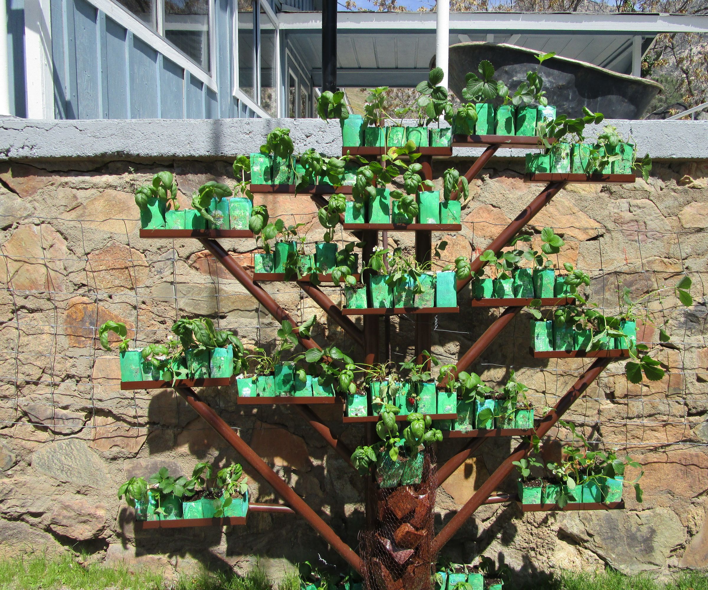 Carton to Garden