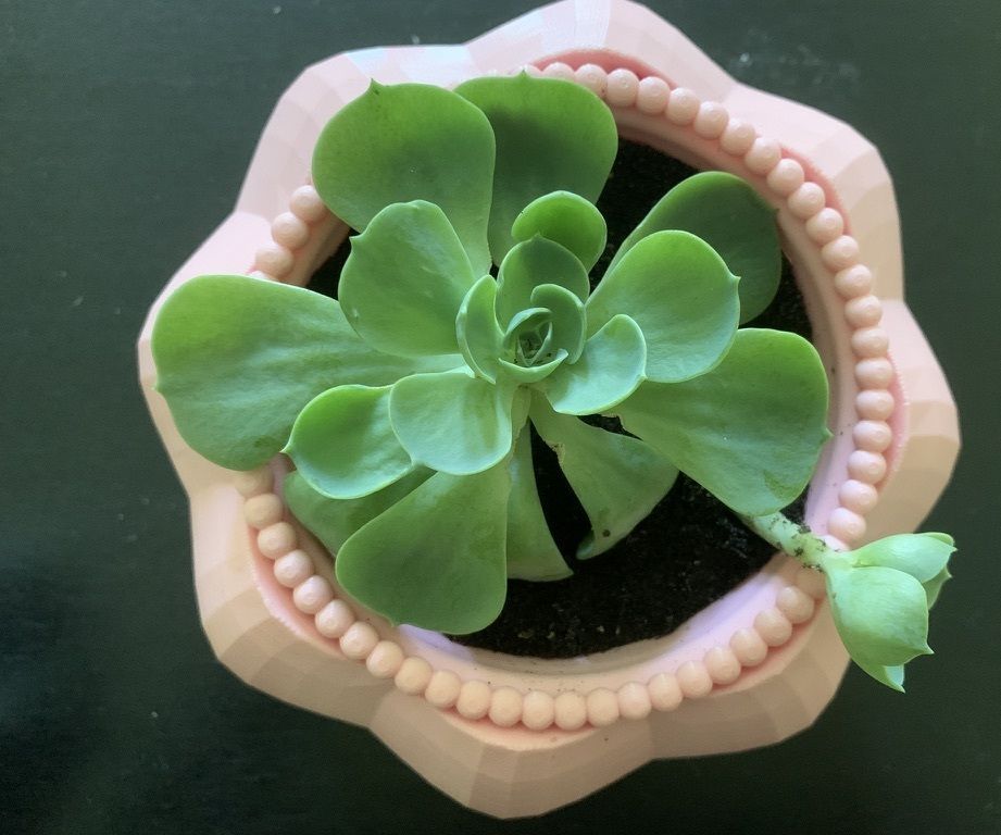 Design and 3D Printing of Self-watering Pot Systems