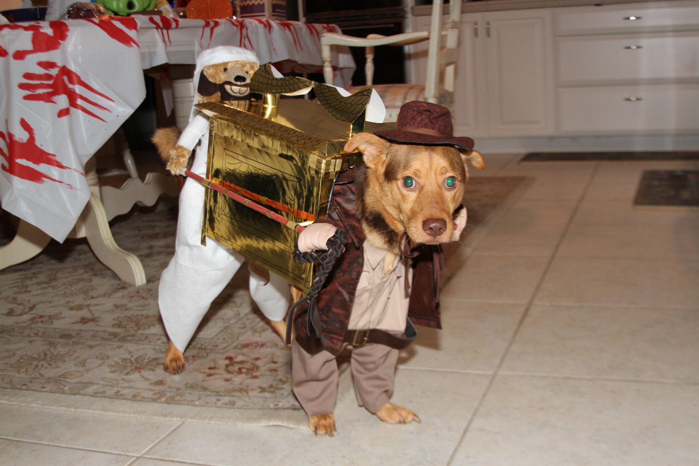 Cody's 2012 Costume.  Indian Jones and Sallah Carrying the Ark.