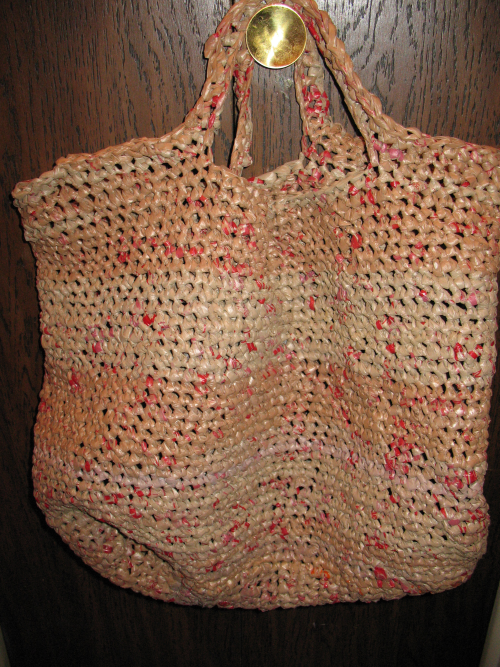 Plastic Bag Bag